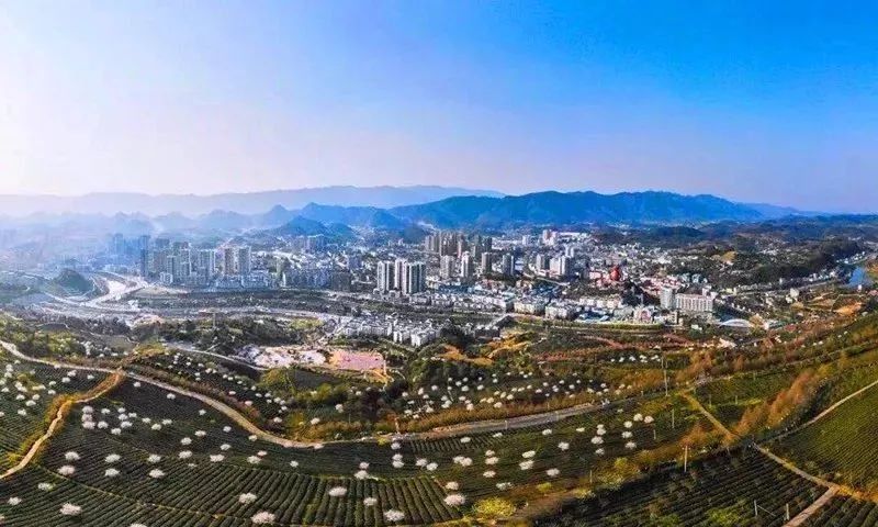 重庆乡村振兴培训中心