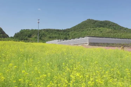 山东乡村振兴培训中心济南乡村振兴专题培训7天参考方案_山东乡村振兴培训中心方案_乡村振兴培训定制服平台